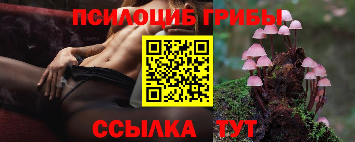 Зима  купить наркотик  Вход с VPN  Галлюциногенные грибы Psilocybine cubensis 